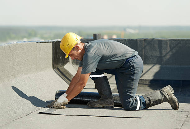 Best Insulation Maintenance and Repair in Jackson, WY